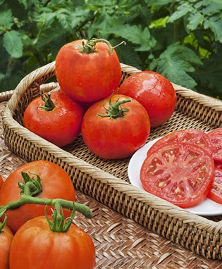 Super Fantastic Tomato